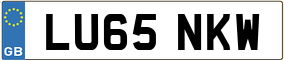 Truck License Plate